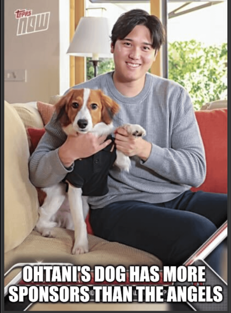 オータニの犬は年間100万ドルを稼ぐだろう。