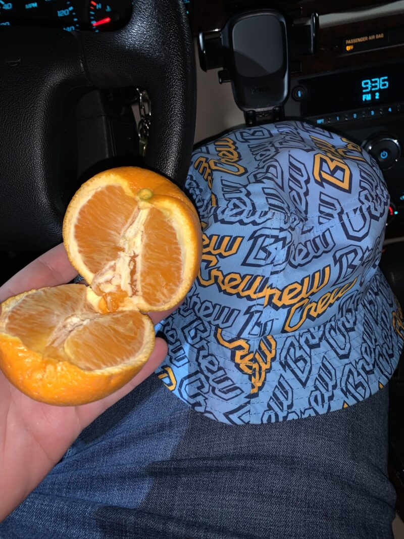 ビクトリーオレンジを食べに散歩 (feat. City Connect バケットハット)