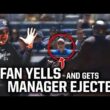 ファンの叫び声で審判がヤンキース監督を退場、故障