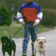 犬とローラーブレードをするバリー・ラーキン、1990 年代頃